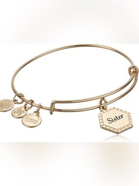 New alex and ani sister Gold-tone Charm Bangle Bracelet
